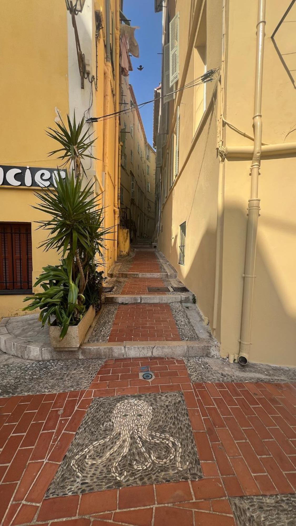 Cozy In Old Town - Near Parking * Menton